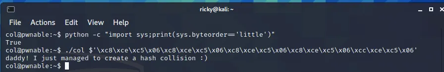 image-20210203034418244