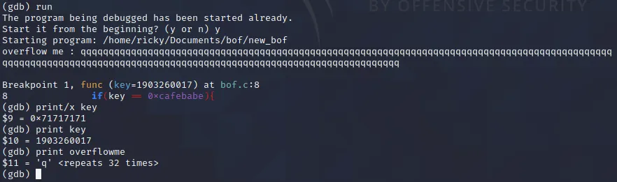 image-20210203153153702