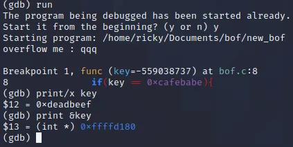 image-20210203153222389