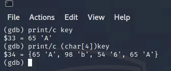 image-20210203154931846